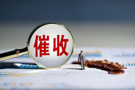 陵川债务清欠服务